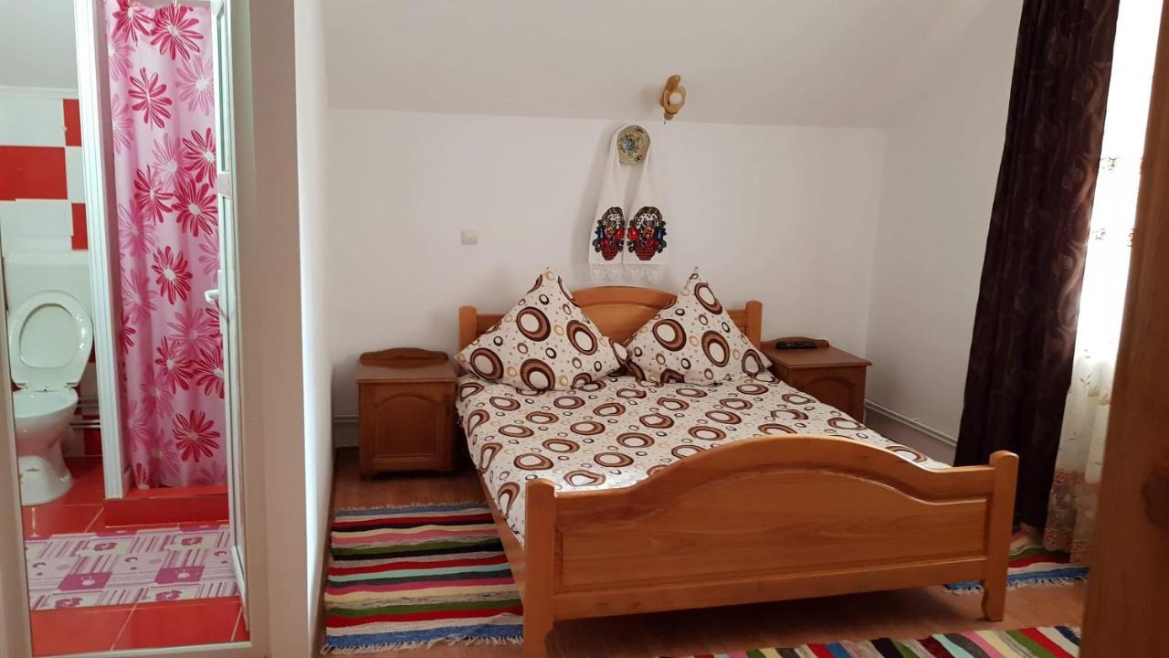 Pensiunea Todorica Sergiu Sieu  Bagian luar foto